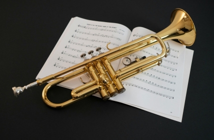 Testiranje kandidata za radno mjesto nastavnika/ice trube u Sinju