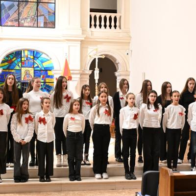 485177571 1133666168557893 2585517306435837845 N